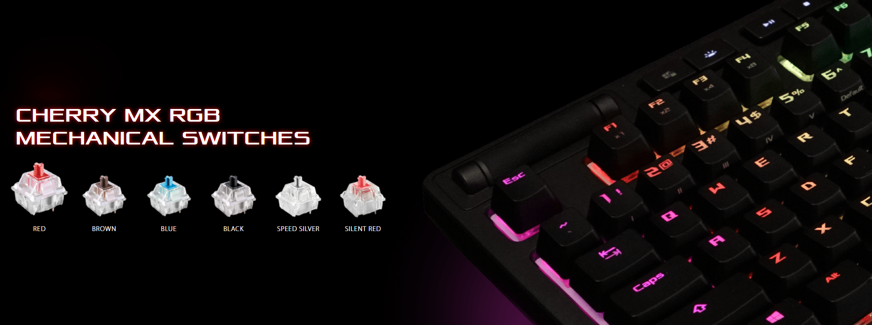 Bàn phím ASUS ROG Strix Flare RGB (Red sw) sử dụng switch cherry cao cấp